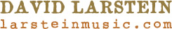 David Larstein Logo